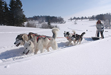 Activités dans le Doubs et le Jura