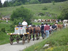 Doubs-Jura